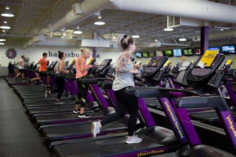 When is Planet Fitness the Least Busy? And Why Do Penguins Hate Treadmills?